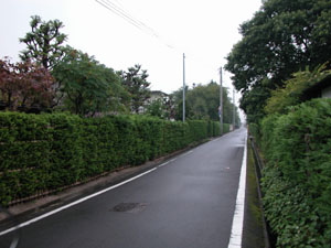 弘前市寿町（北横町）遊郭 写真 3
