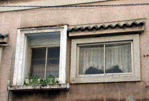 福岡市新柳町遊郭 写真 6