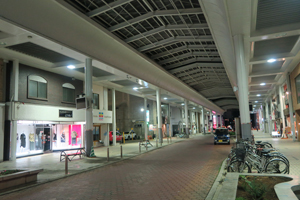 帯広町遊郭の現地記録写真