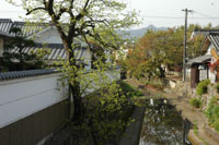 篠山町遊郭 写真 12