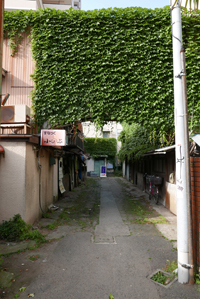 藤沢町遊郭の現地記録写真