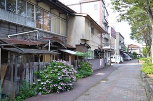上諏訪町衣之渡遊郭 写真 14