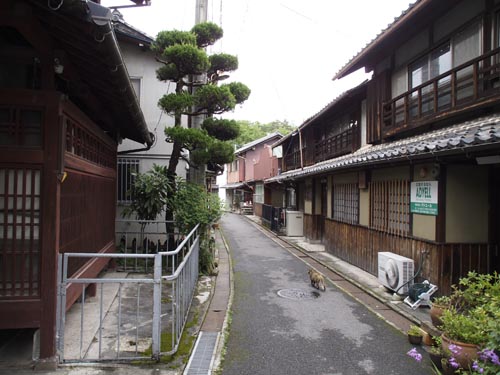八日市町延命遊郭 写真 9