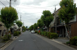 米子市灘町遊郭 写真 12