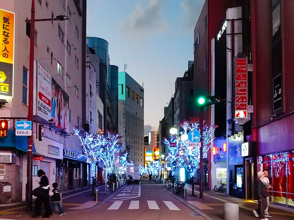 中洲遊廓の現地記録写真